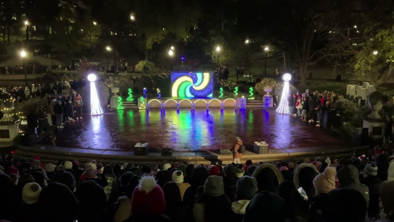 Light Up the Lake 2024 Highlights
