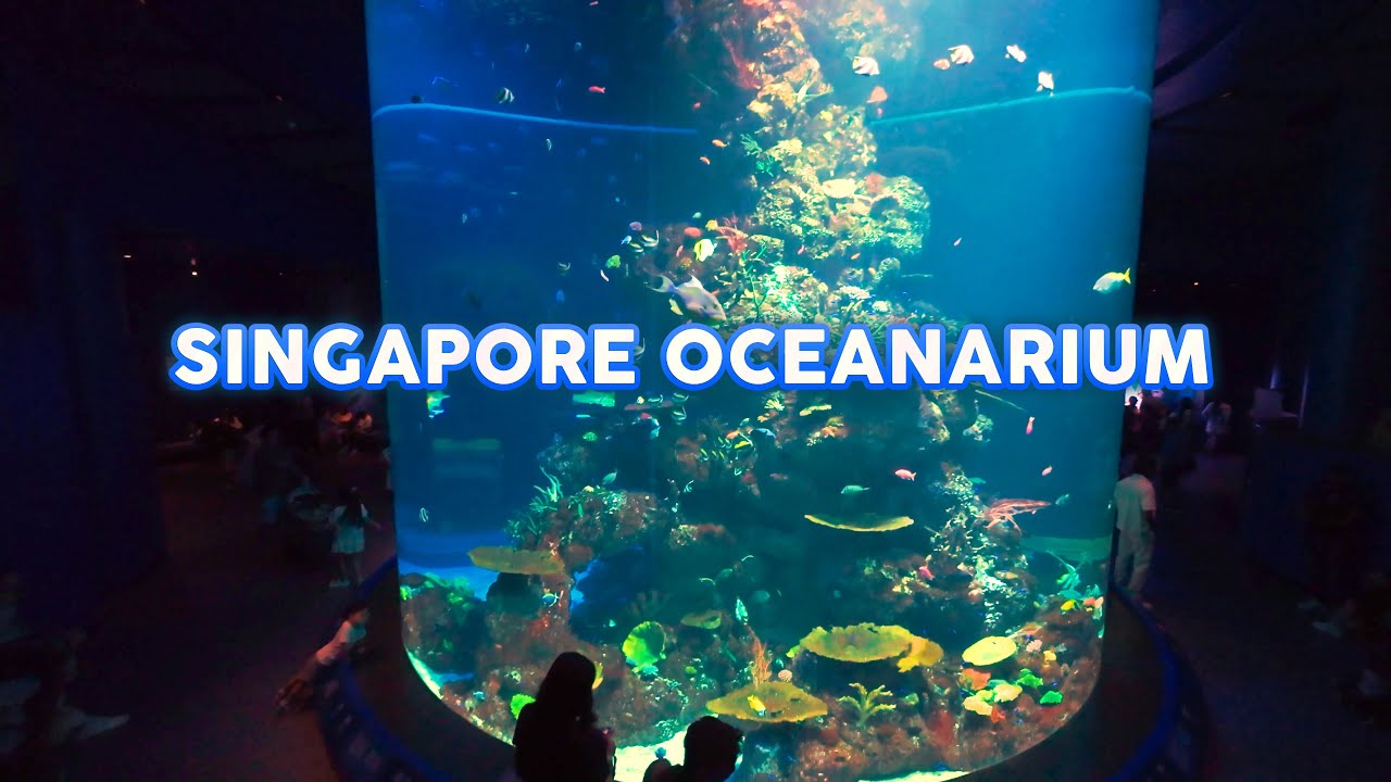 Singapore Oceanarium - Full Walkthrough Vlog | Resorts World Sentosa
