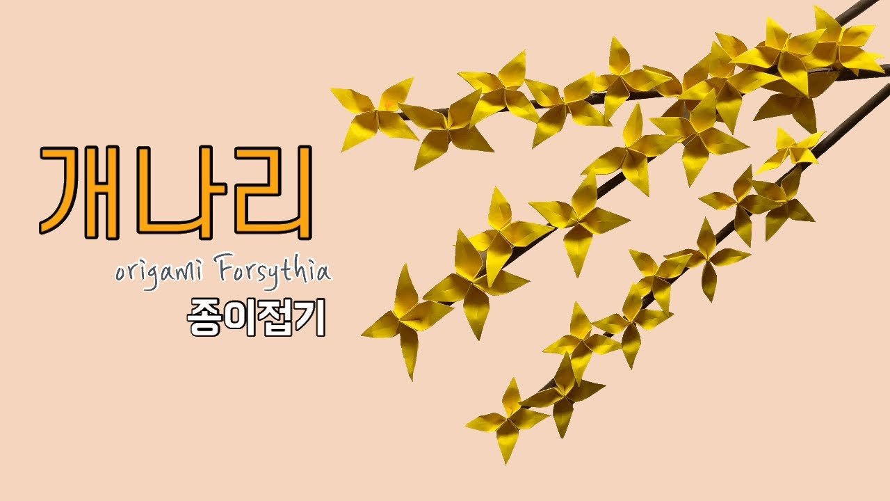 개나리 접기, 봄 꽃 종이접기, 쉬운 종이접기, 꽃 접는법, origami spring flower , origami Forsythias