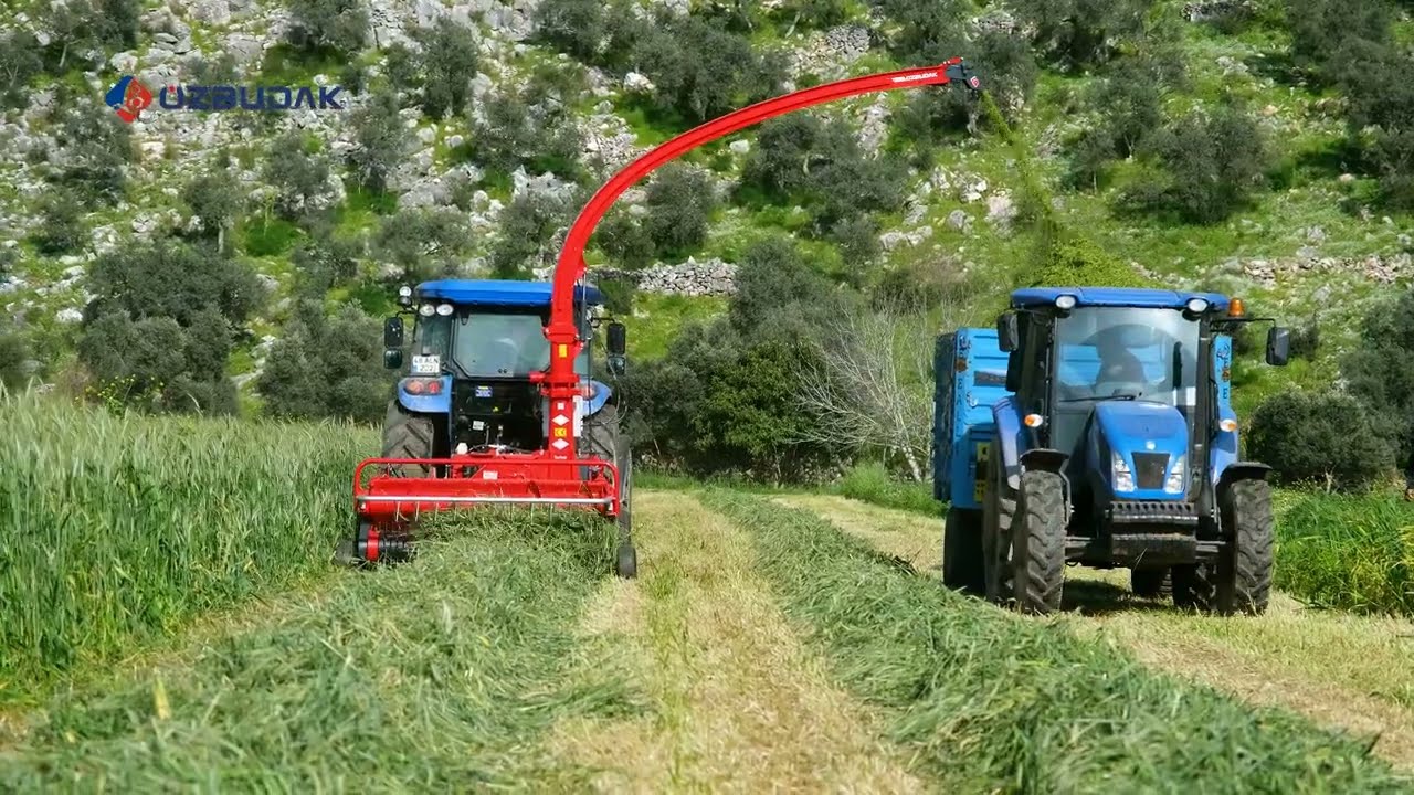 Özbudak, Soldurma Ot Silaj Biçimi. / Chopping mowed grass for silage.