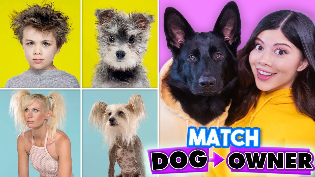 Match the Dog to the Owner (Reaction)