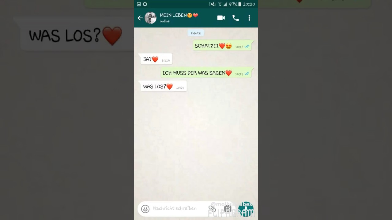megaa süßer chat😍