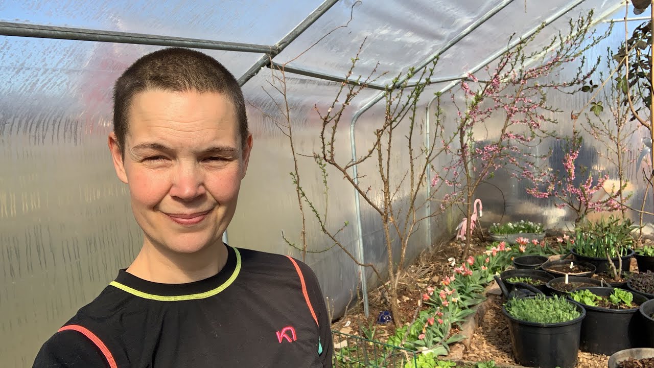 Mitt tunnelväxthus i april - Live dag 2 april 2019
