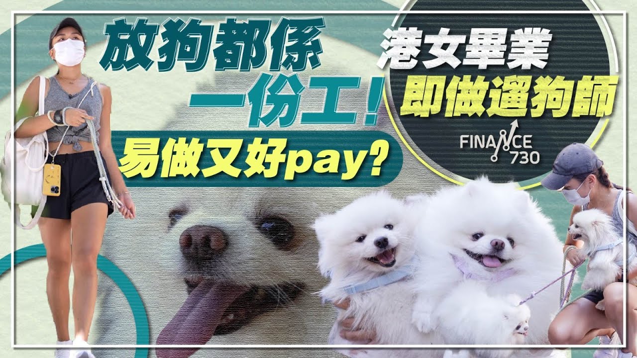 通關去旅行邊個幫你湊貓狗？專業寵物保姆幫到手︱發圍有道︱#遛狗師
