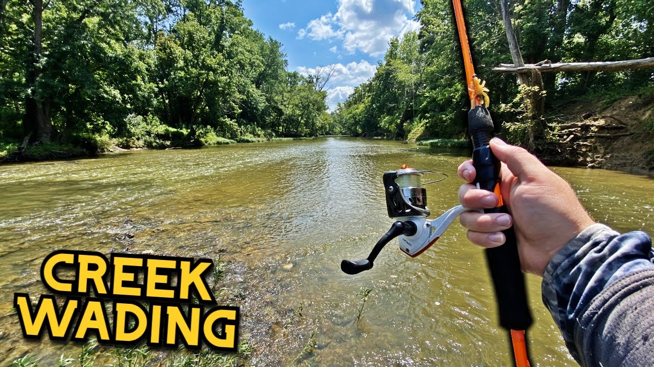 Creek Wading For Smallmouth & Rock Bass