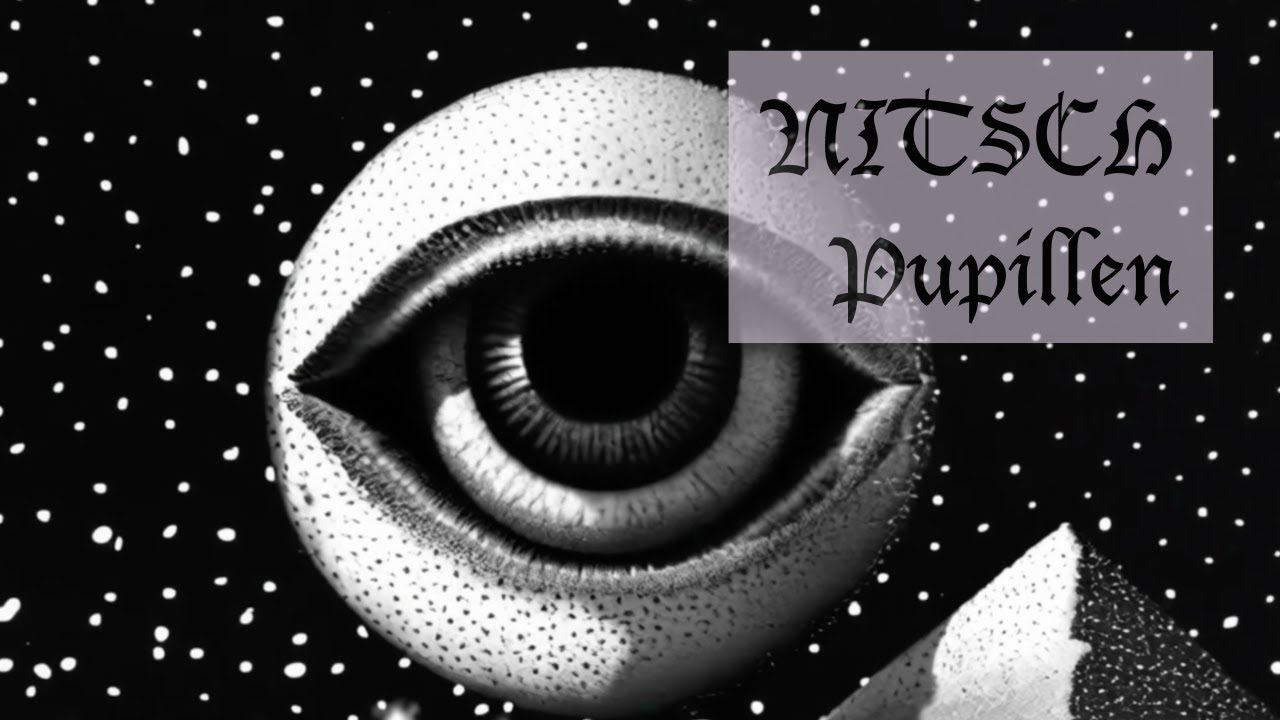 NITSCH - Pupillen (Official Video)