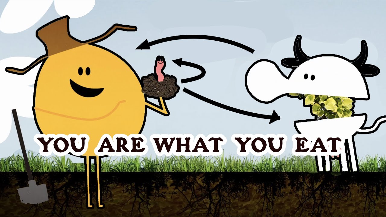 You Are What You Eat | Formidable Vegetable | International Year of Soil Official Song