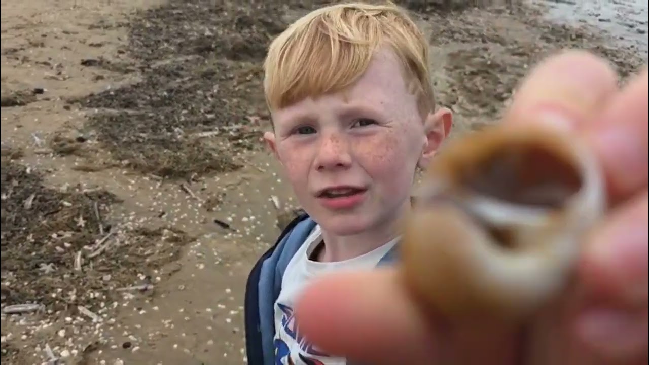 T&J adventures playing in the dunes and looking for starfish on the beach!