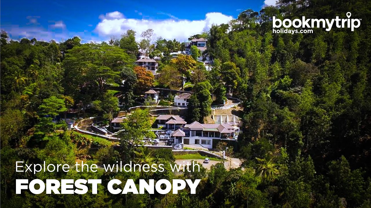 Forest Canopy Resort | Thekkady | Kerala | Gleesire Holidays