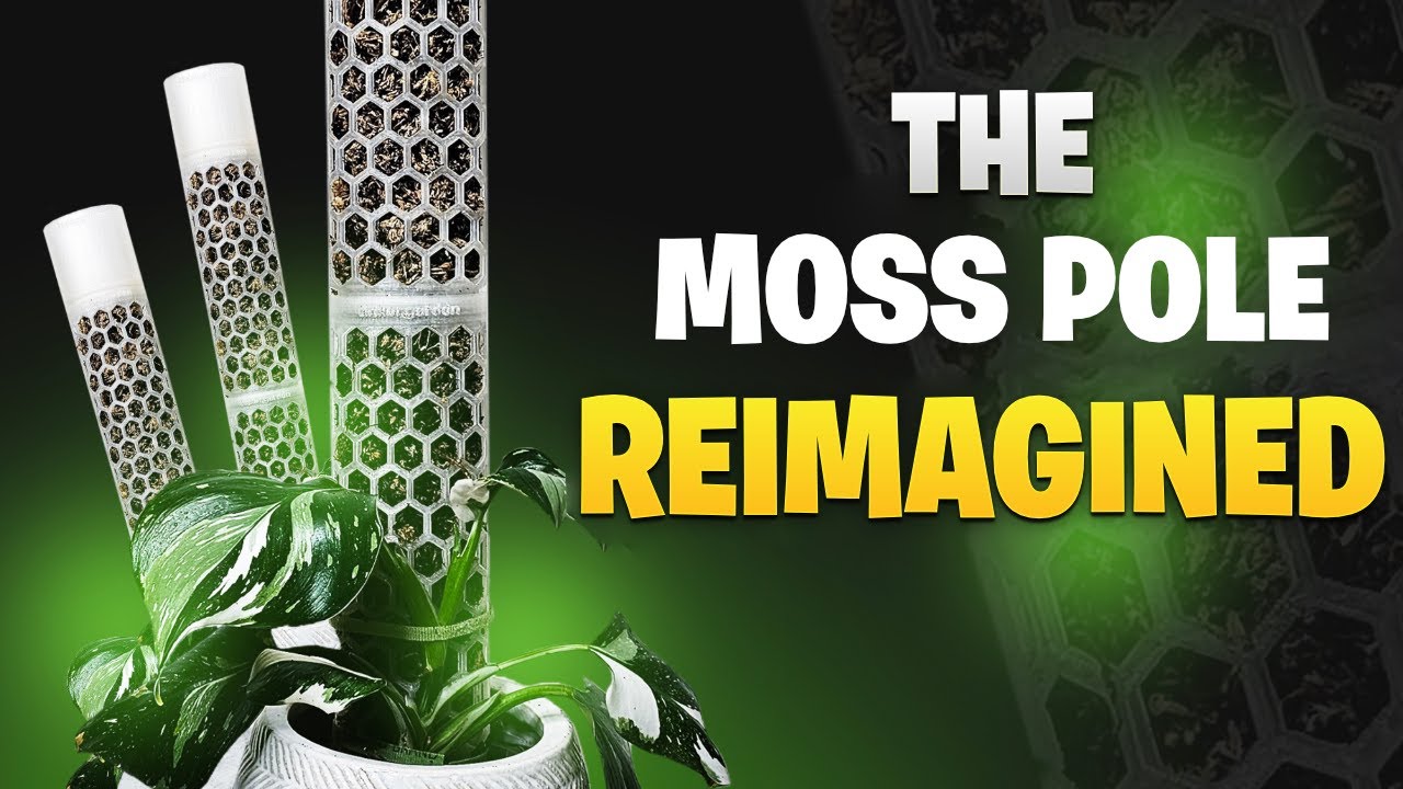 This Moss Pole Waters Itself—Meet the Game-Changing Tinker Garden