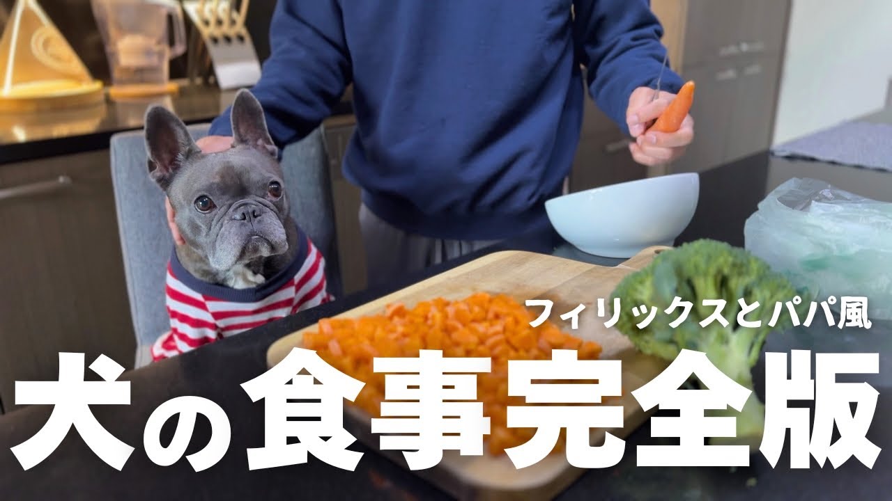 5年間ずっとお腹を壊したことがない愛犬の食事を大公開