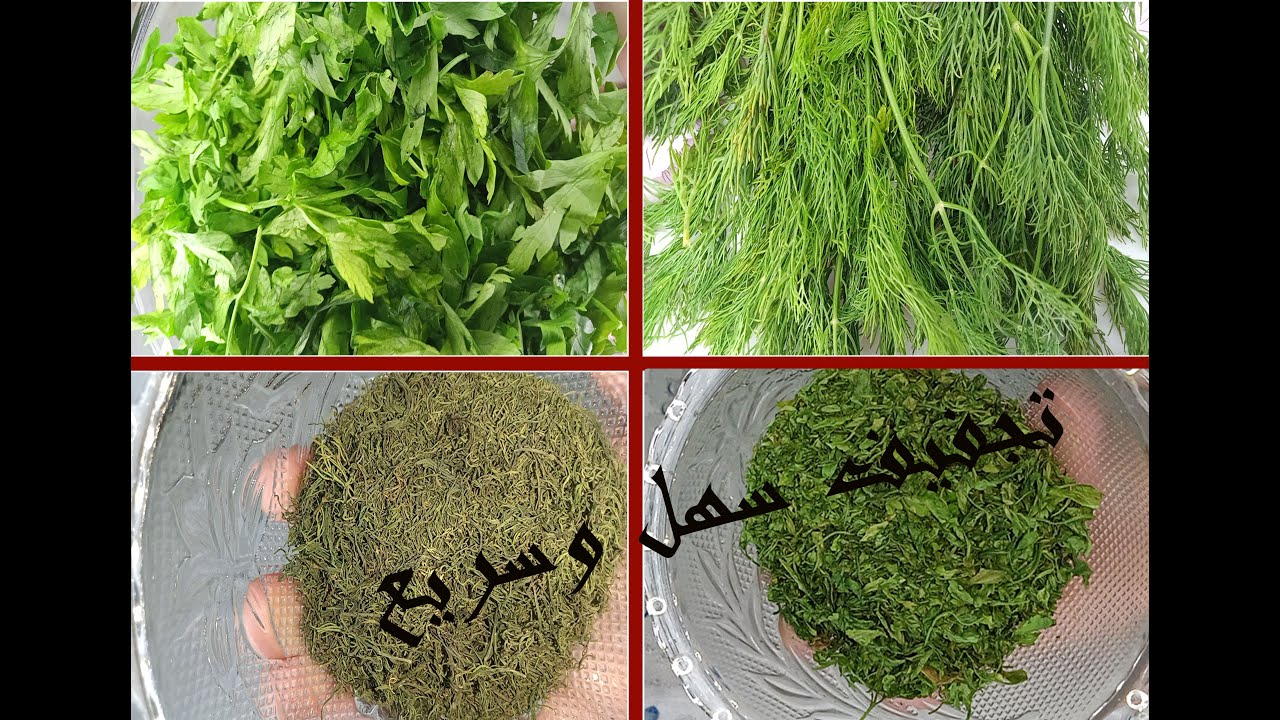 اسرع واسهل طريقه لتجفيف المعدونس والشبت في دقيقتين وبس لكل انواع الخضروات