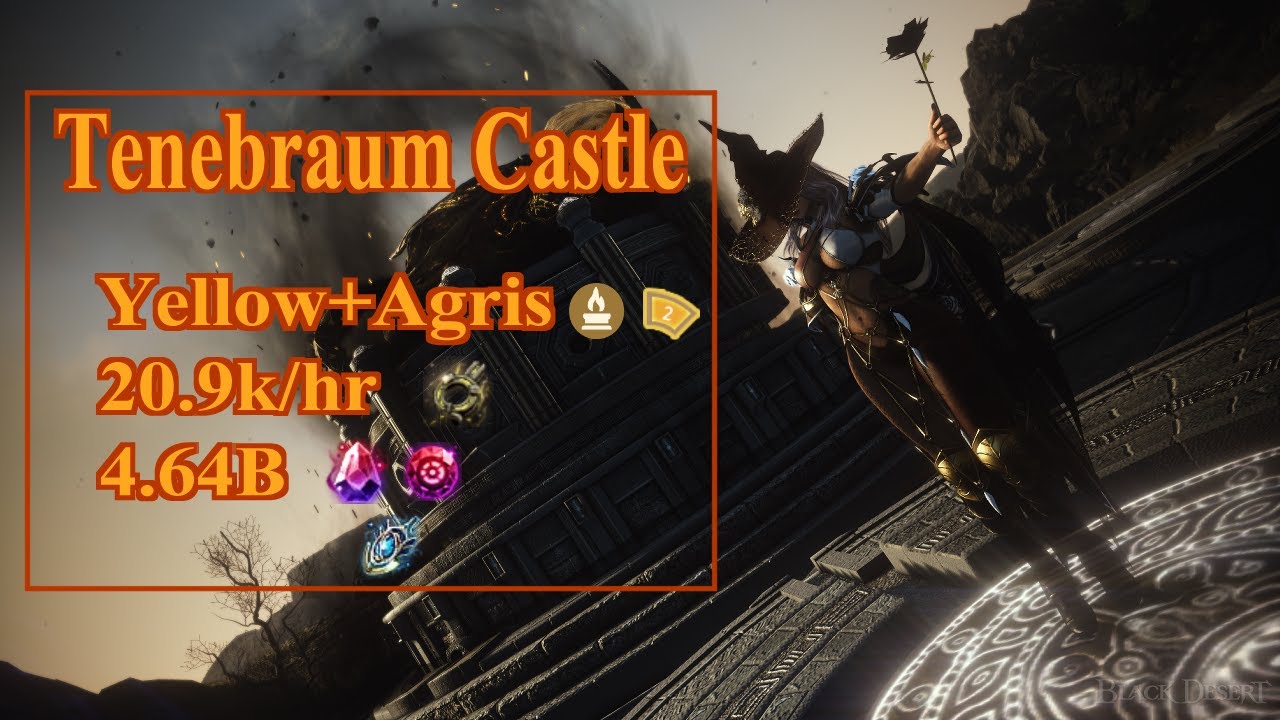 Tenebraum Castle | Dark Knight Succession | 379Ap | Lv2+Agris | 20.9k Trash