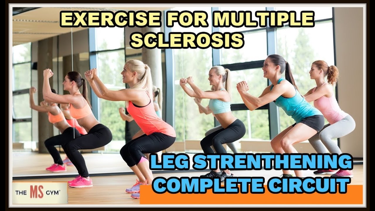 MS LEG STRENGTHENERS - FULL CIRCUIT - Exercise For Multiple Sclerosis