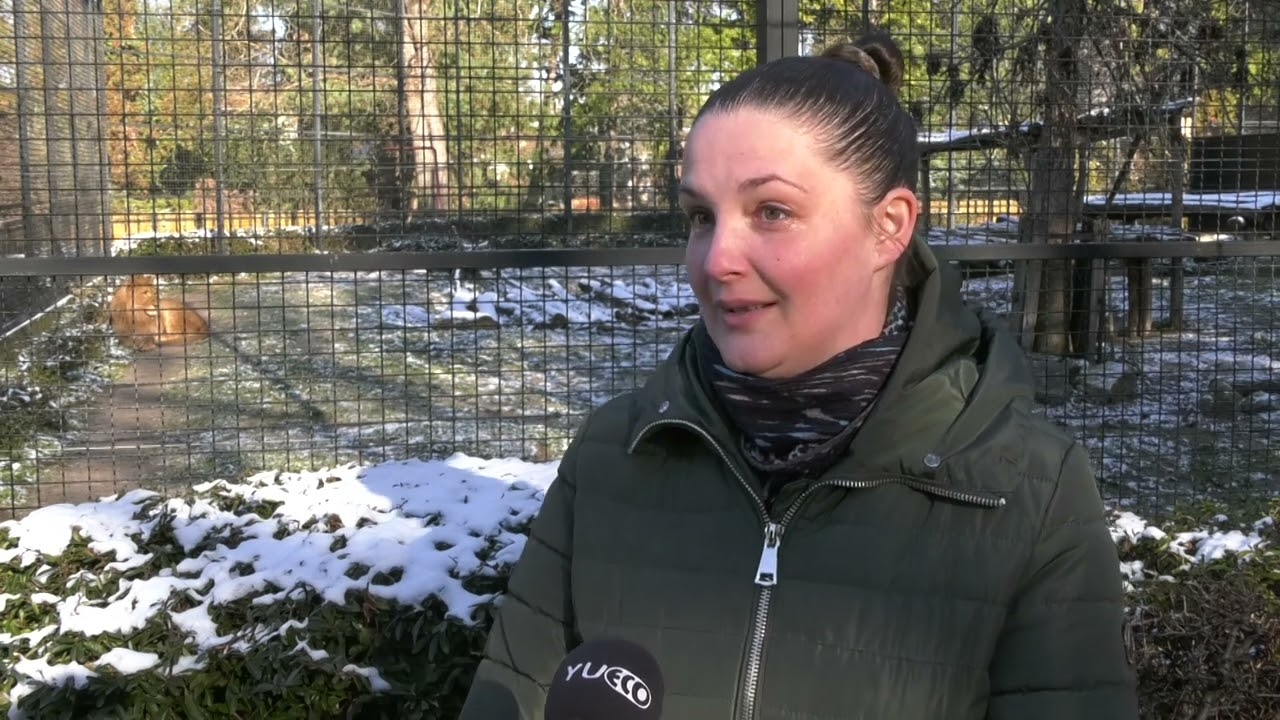 Zoo vrt 
