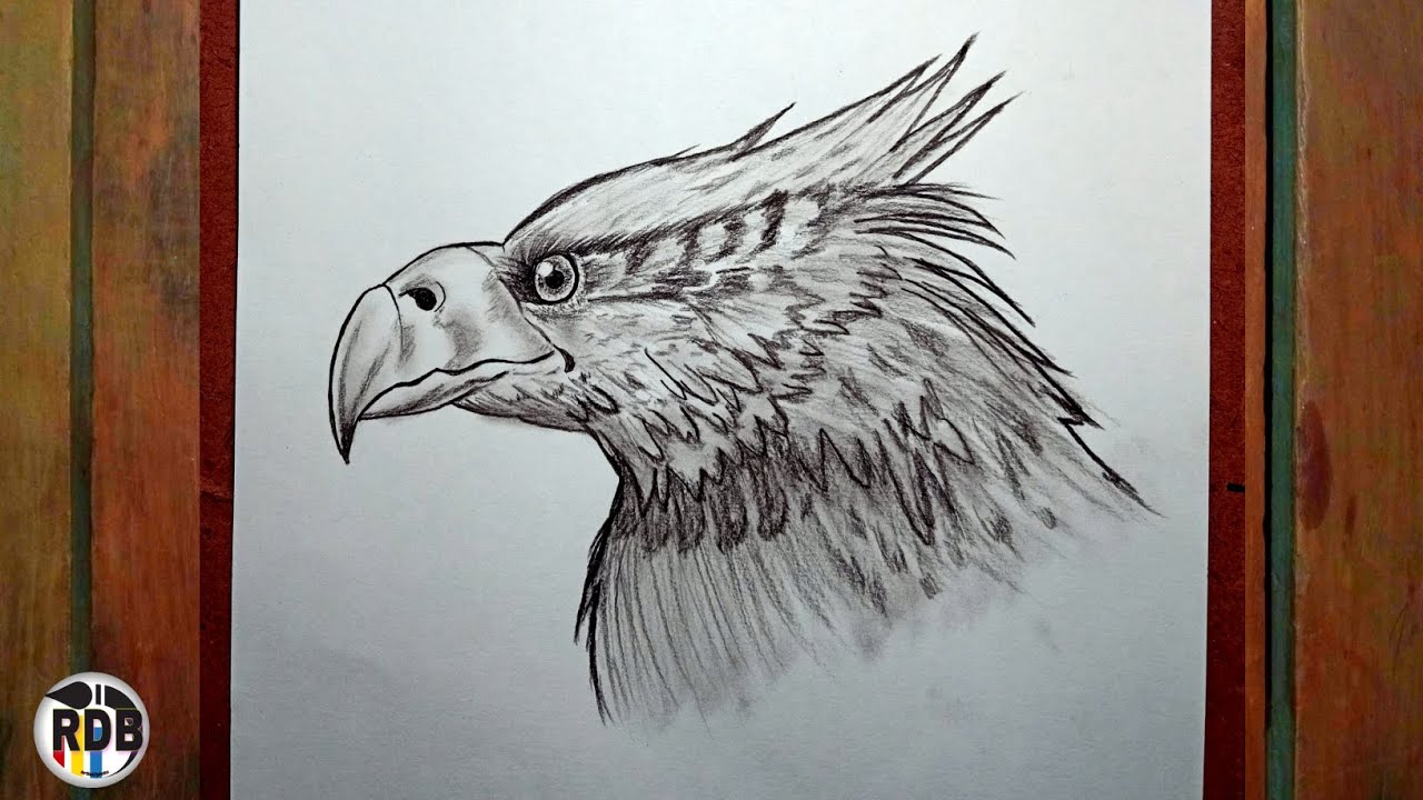How To Draw Hippogriff | Harry Potter eagle drawing Tutorial