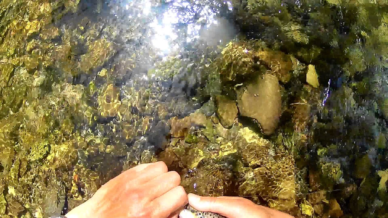 Pesca a mosca secca in un piccolo torrente dell'Appennino Fly fishing videos torrente Laccio