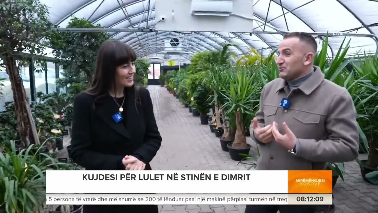 Mirëngjesi Kosovë - Kujdesi për lulet në stinën e dimrit 22.12.2024