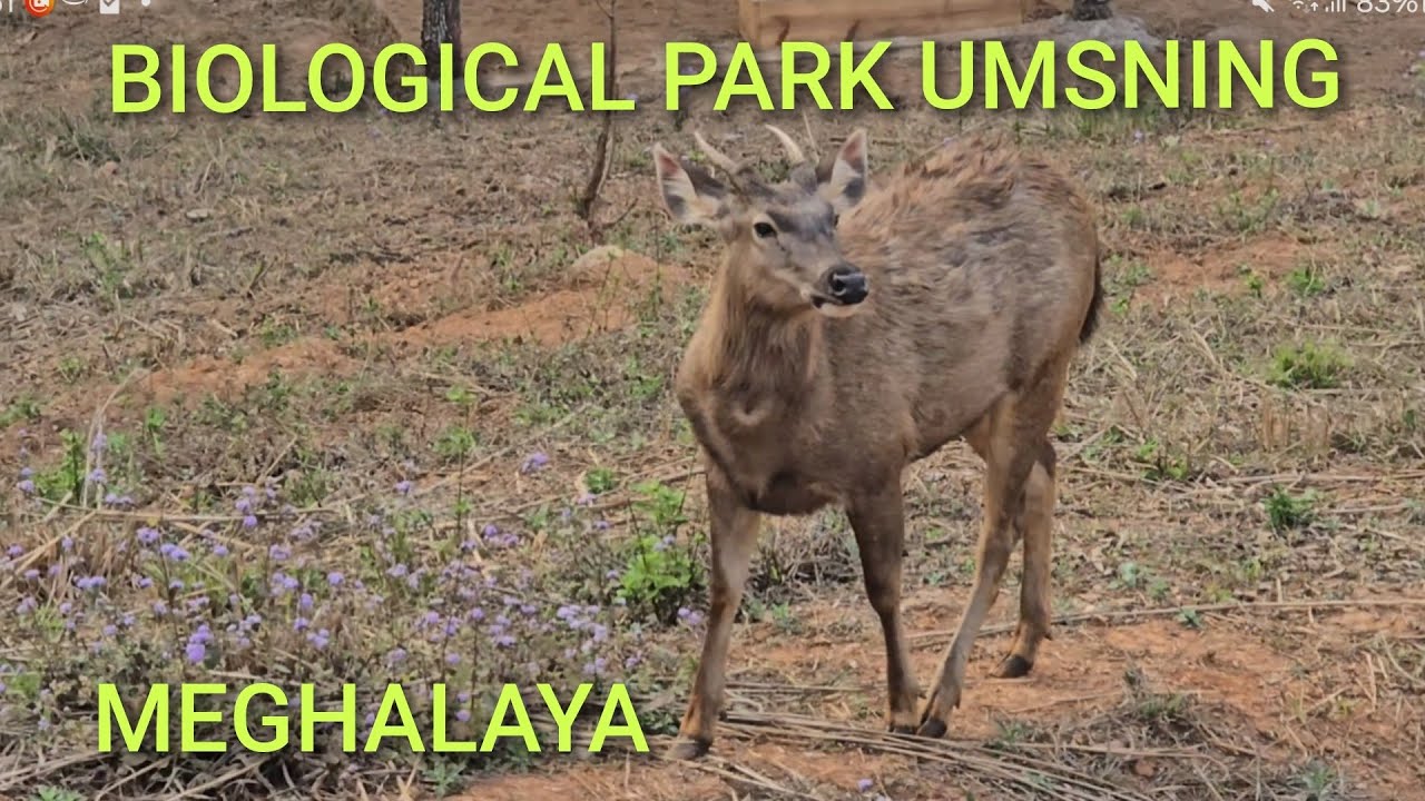 BIOLOGICAL PARK UMSNING MEGHALAYA 