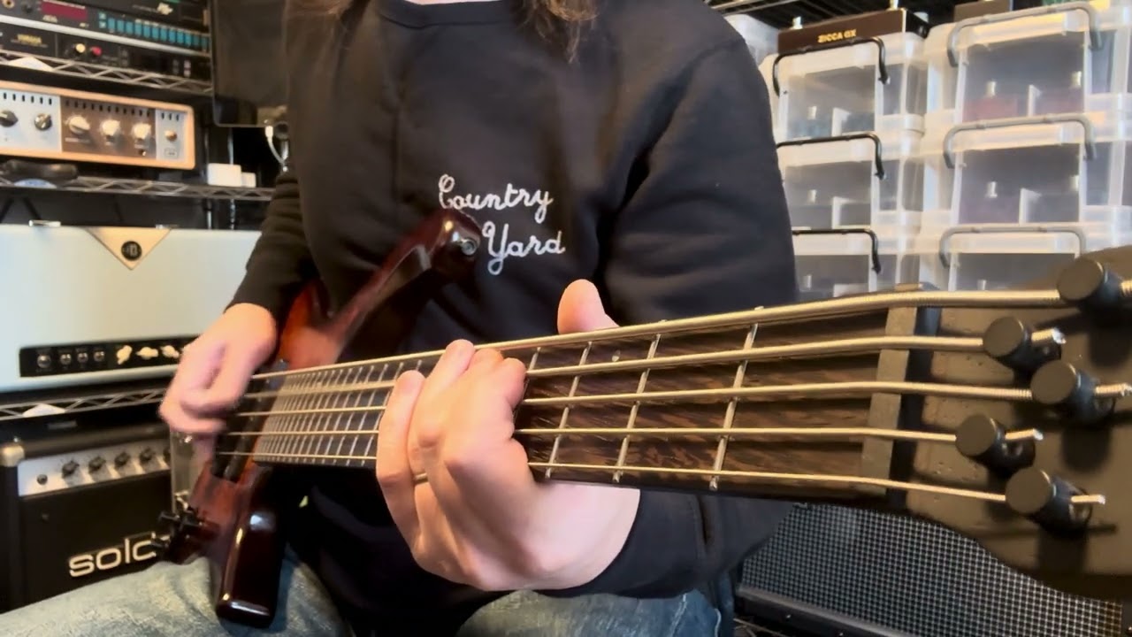 Figure Of Eight / Paul McCartney BASS COVER 😊🎸