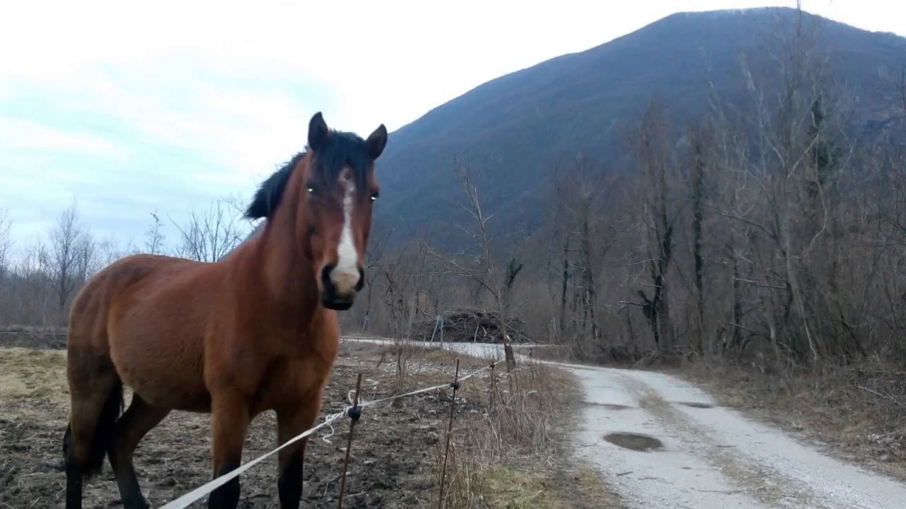 Kobarid SI, dolina Nadiže.