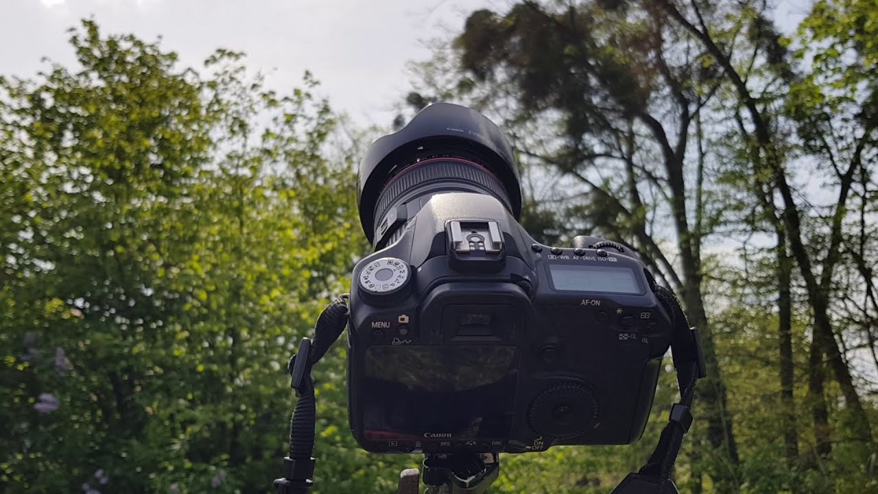 Foto-Tutorial: Wie man einen Sonnenstern fotografiert