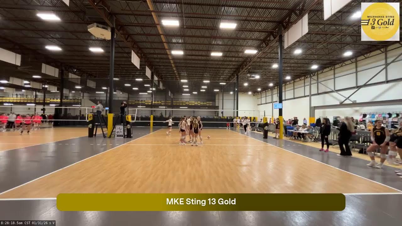 MKE Sting 13 Gold (2026.01.31)