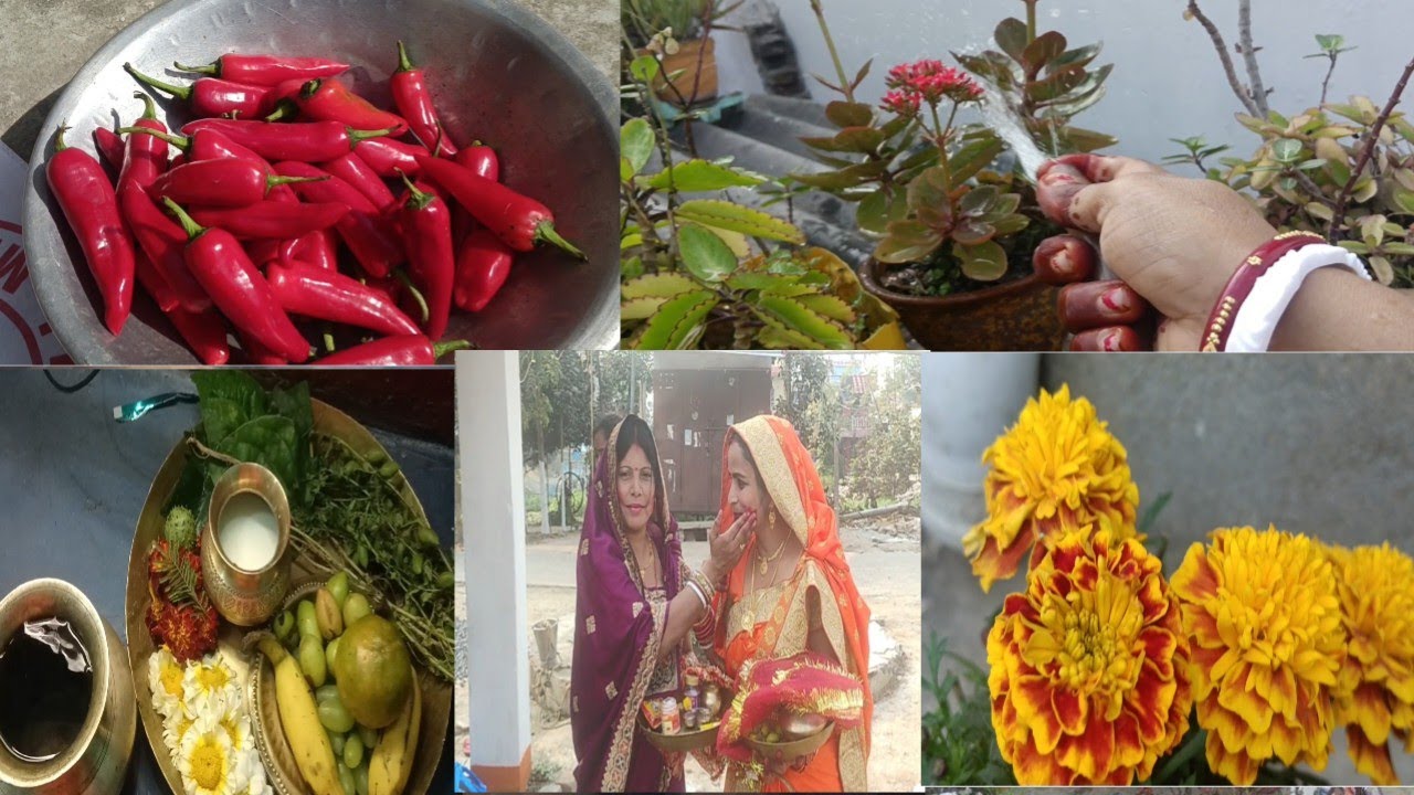 ISS MAUSAM KI BEST MIRCH KI ACHAAR ,SHIVRATRI KI PUJA KI THALI IKDAM SAJA KAR BANAYA 🏵️