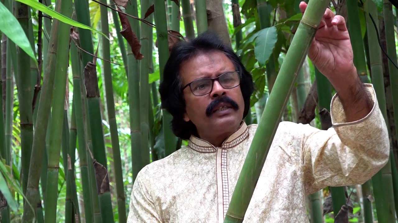 How a simple bamboo turns into a magical flute, Nikhil Krishna Majumder