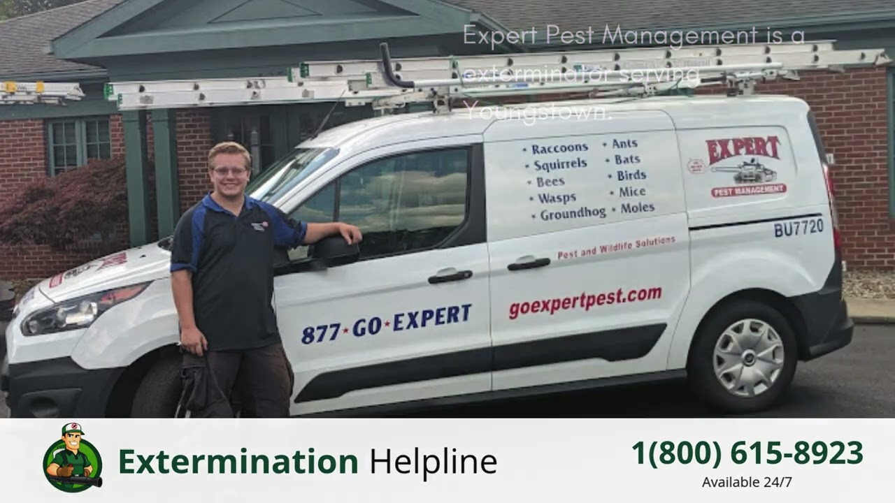 Top 3 Exterminators in Youngstown