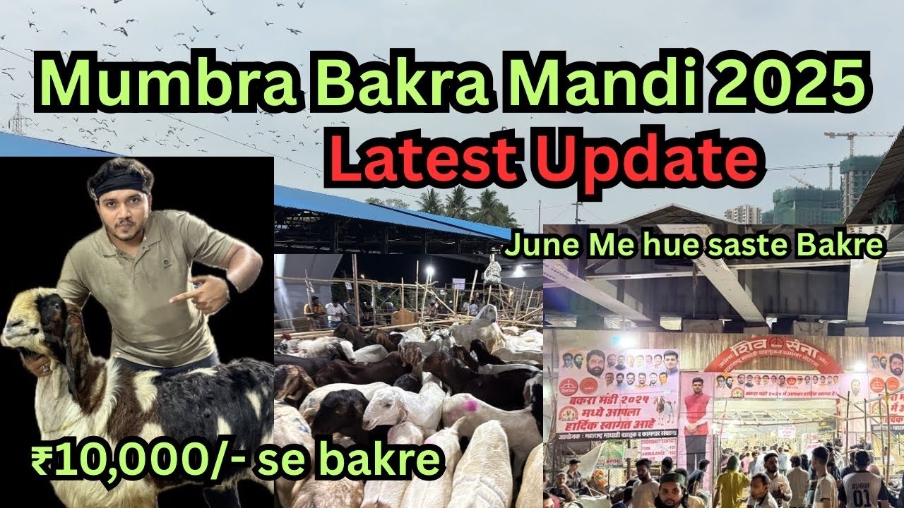 Mumbra Bakra Mandi 2025 | June me hue Saste Bakre 😳 #mumbra #bakra #bakramandi #mandi