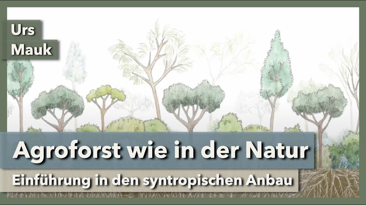 Einführung in den syntropischen Agroforst - Wie funktioniert das System? | Ursula Arztmann