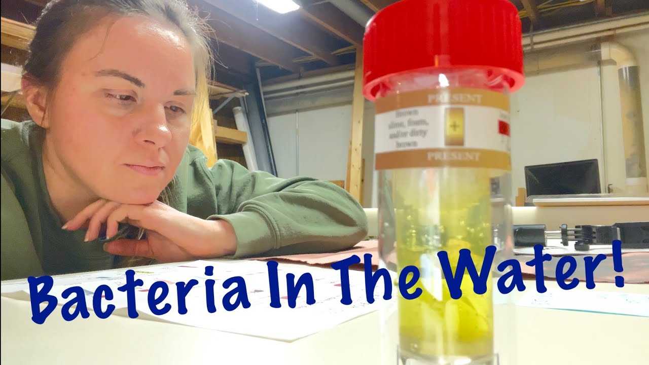 Finding Our Well Water Isn't So Great | DIY Bacteria Water Testing