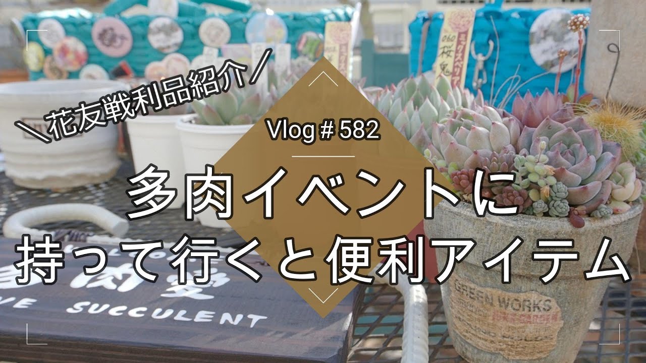【Vlog582】【多肉植物】多肉狩りに持って行く便利アイテム！ここに注意！【花友戦利品紹介】【多肉イベント】