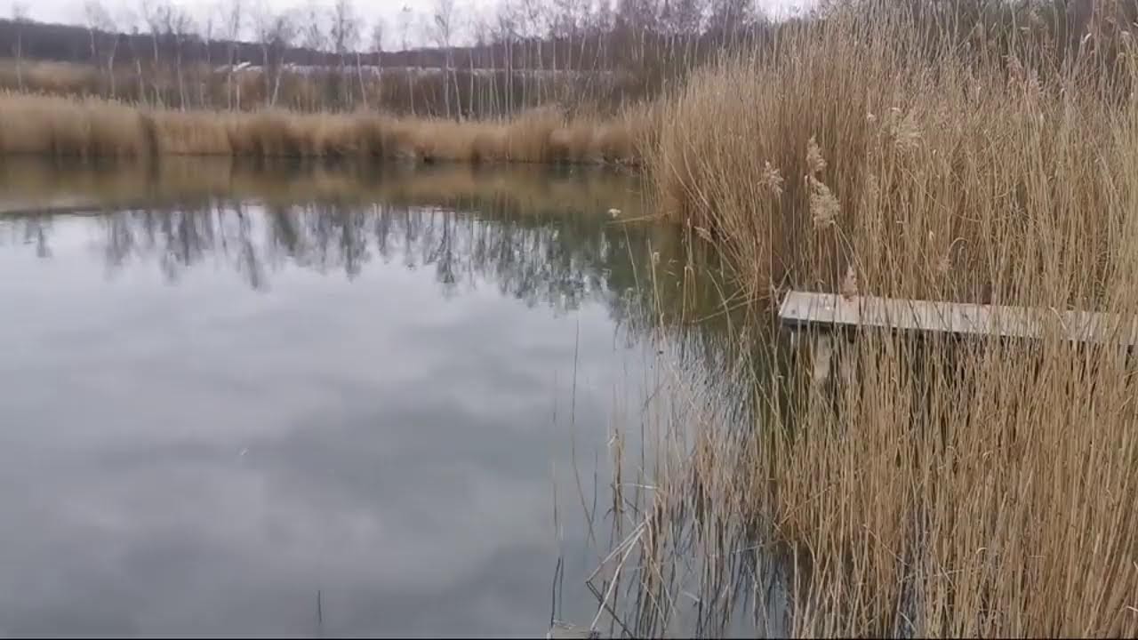 Brigáda na jezeru Vrbenský