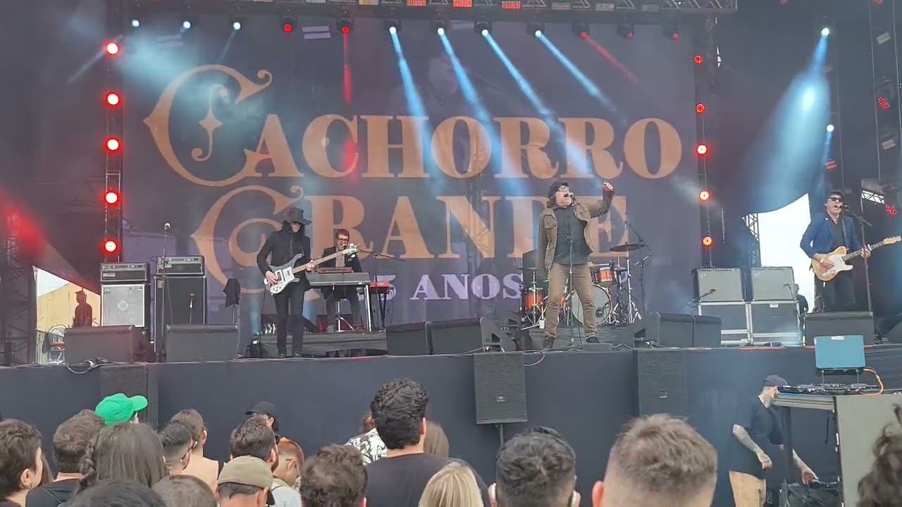 Cachorro Grande Velha Amiga Festival Turá. Espetacular!!! #cachorrogrande #portoalegreoficial #rock 