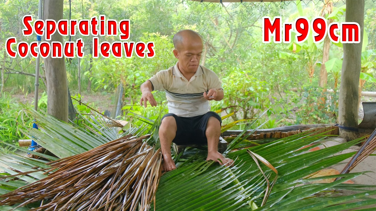 The rain on the porch makes me love the job of separating coconut leaves to make brooms