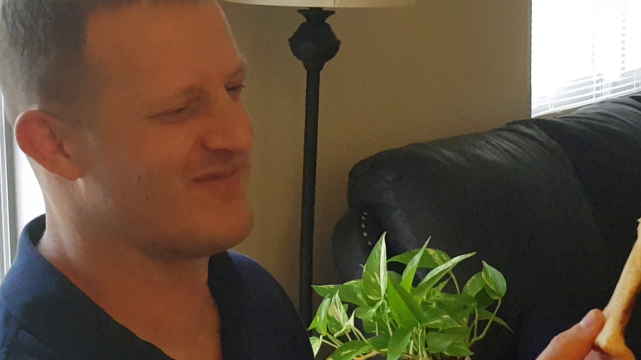 Todd tries vegemite