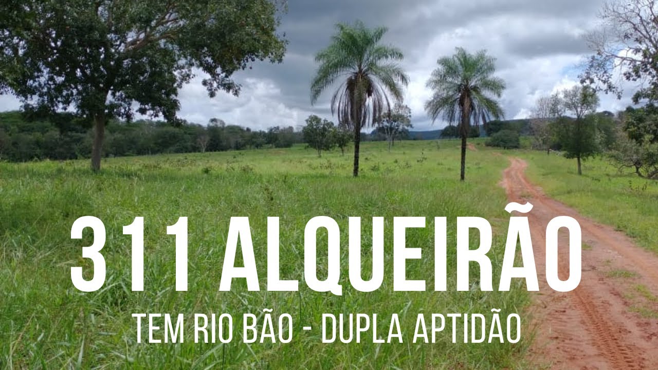 R$ 175 MIL ALQ - 40% AGRICULT&Aacute;VEL - 01 RIO - C&Oacute;RGO - NASCENTE - FAZENDA &Agrave; VENDA EM MATO GROSSO