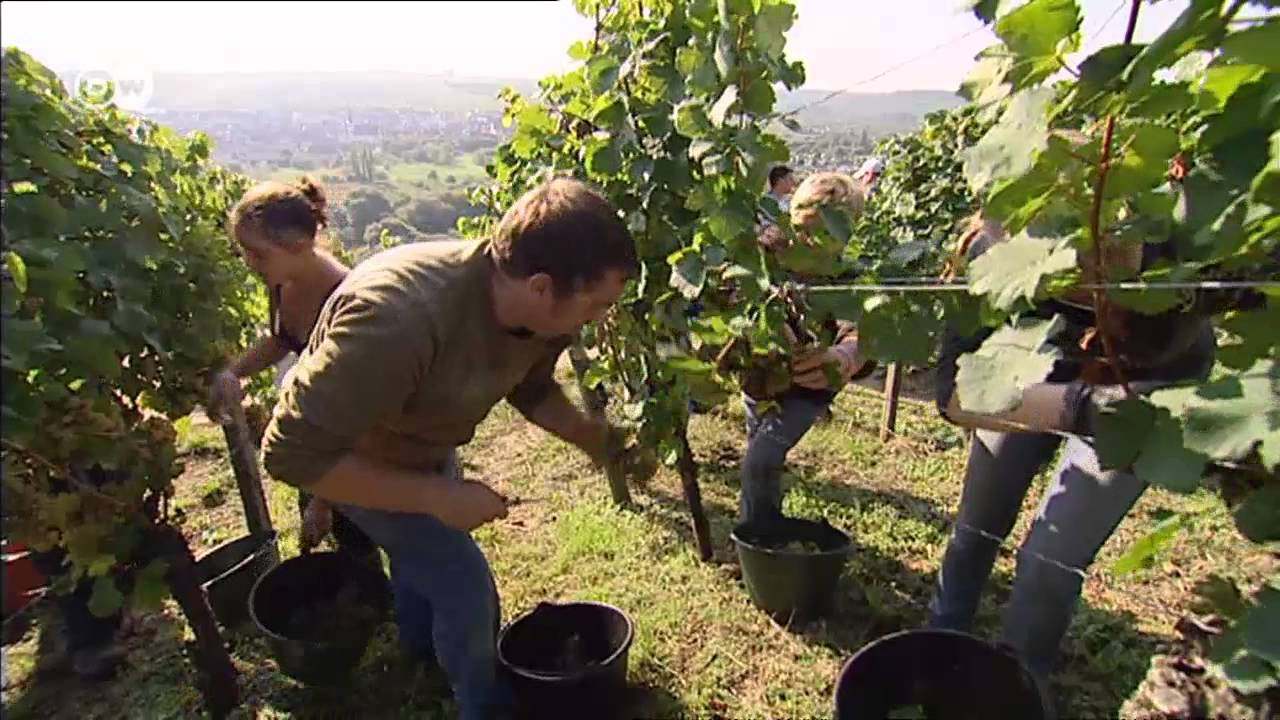 Baviera: el destino más popular de Alemania | Destino Alemania