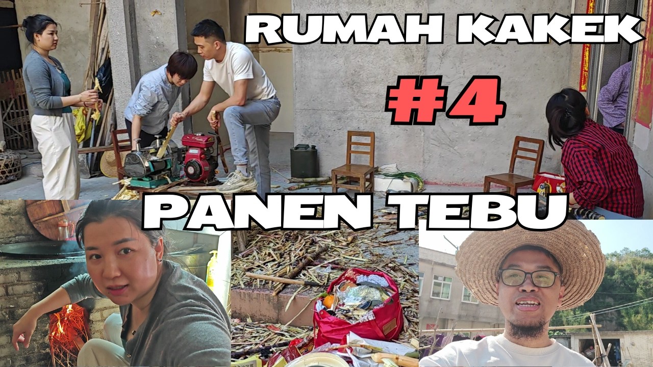 Panen Tebu di Gunung, Bikin Gula Merah, Part 4