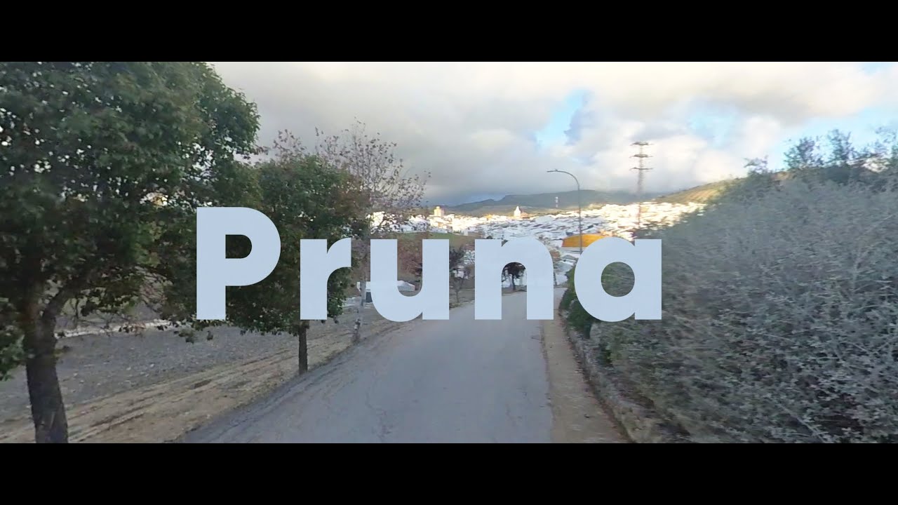 Pruna