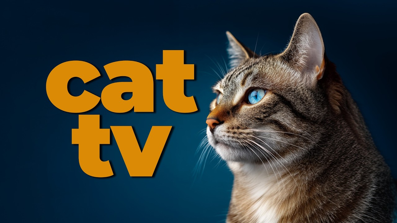 Cat TV | Forest Birds & Fluffy Guinea Pigs | Videos for Cats to Watch | Cat Entertainment