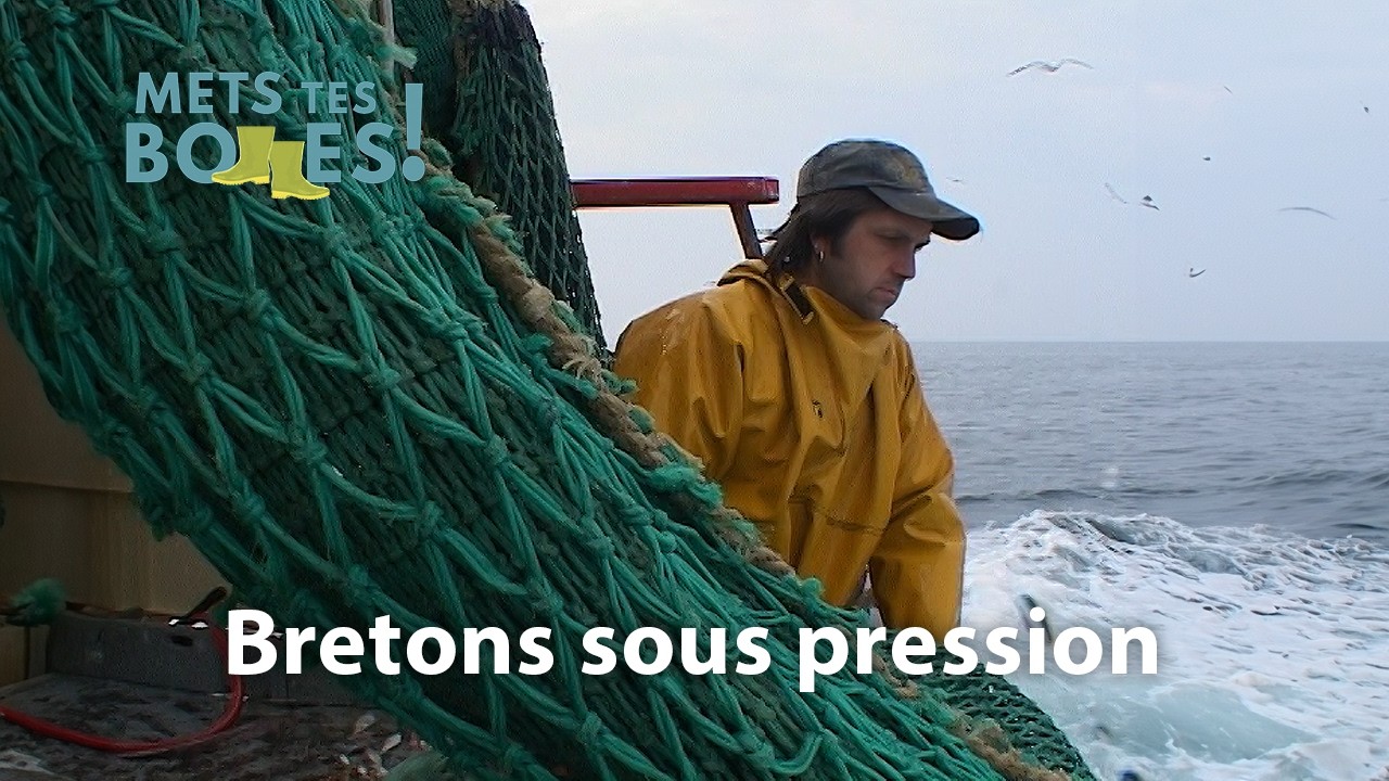 Pêcheur de langoustine en Bretagne : un métier en sursis