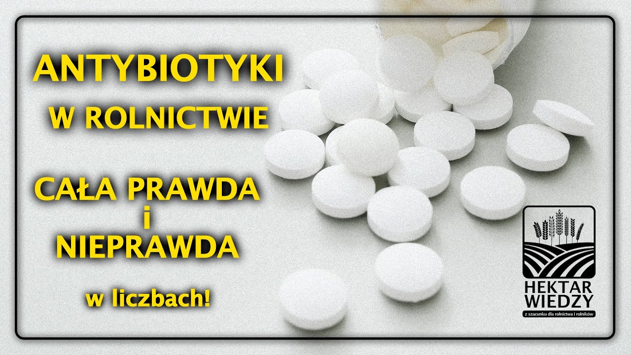 ANTYBIOTYKI w ROLNICTWIE  - CAŁA PRAWDA I NIEPRAWDA  | HEKTAR WIEDZY