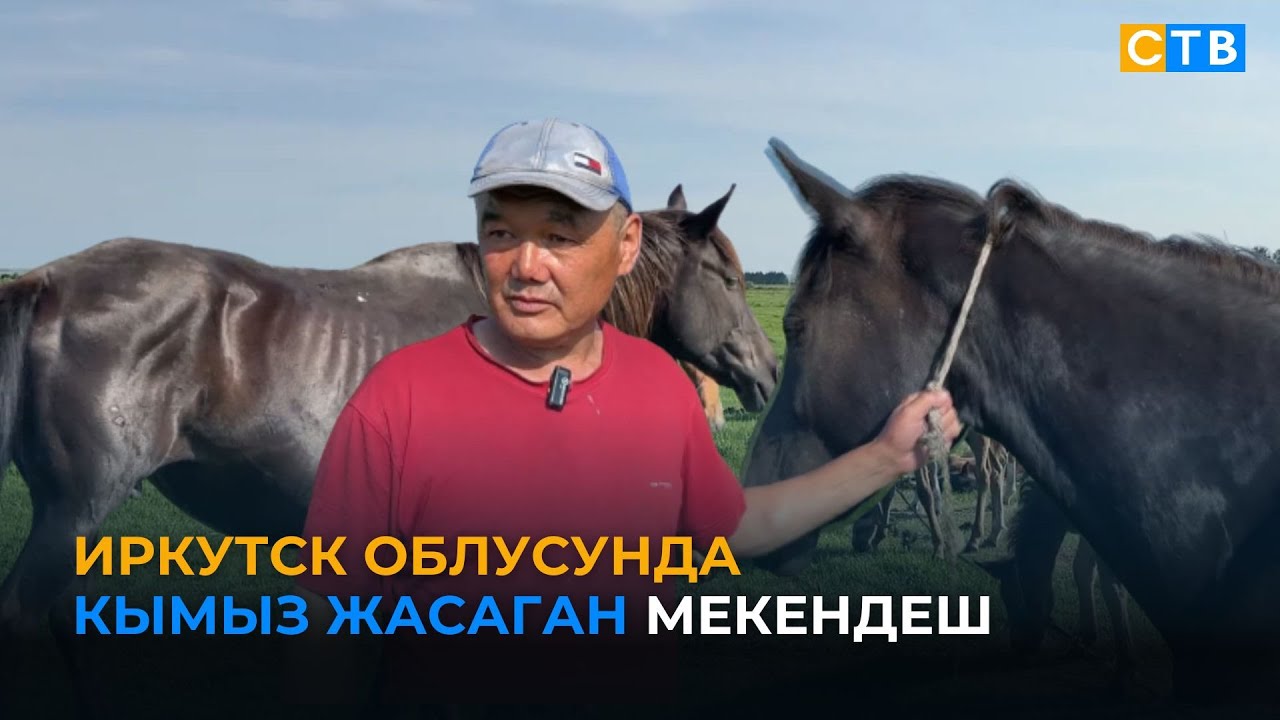 Иркутск облусунда кымыз жасаган мекендеш