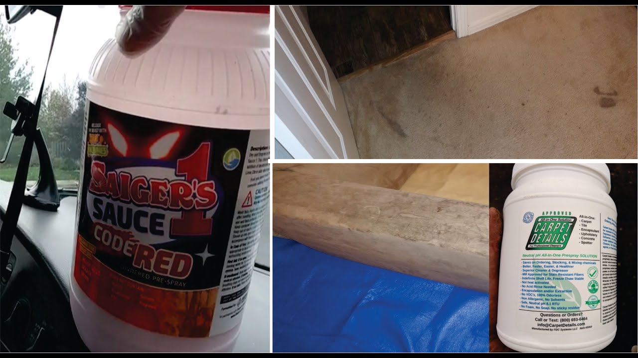 The Dynamic duo - Carpet Details and Saigers Sauce Code Red