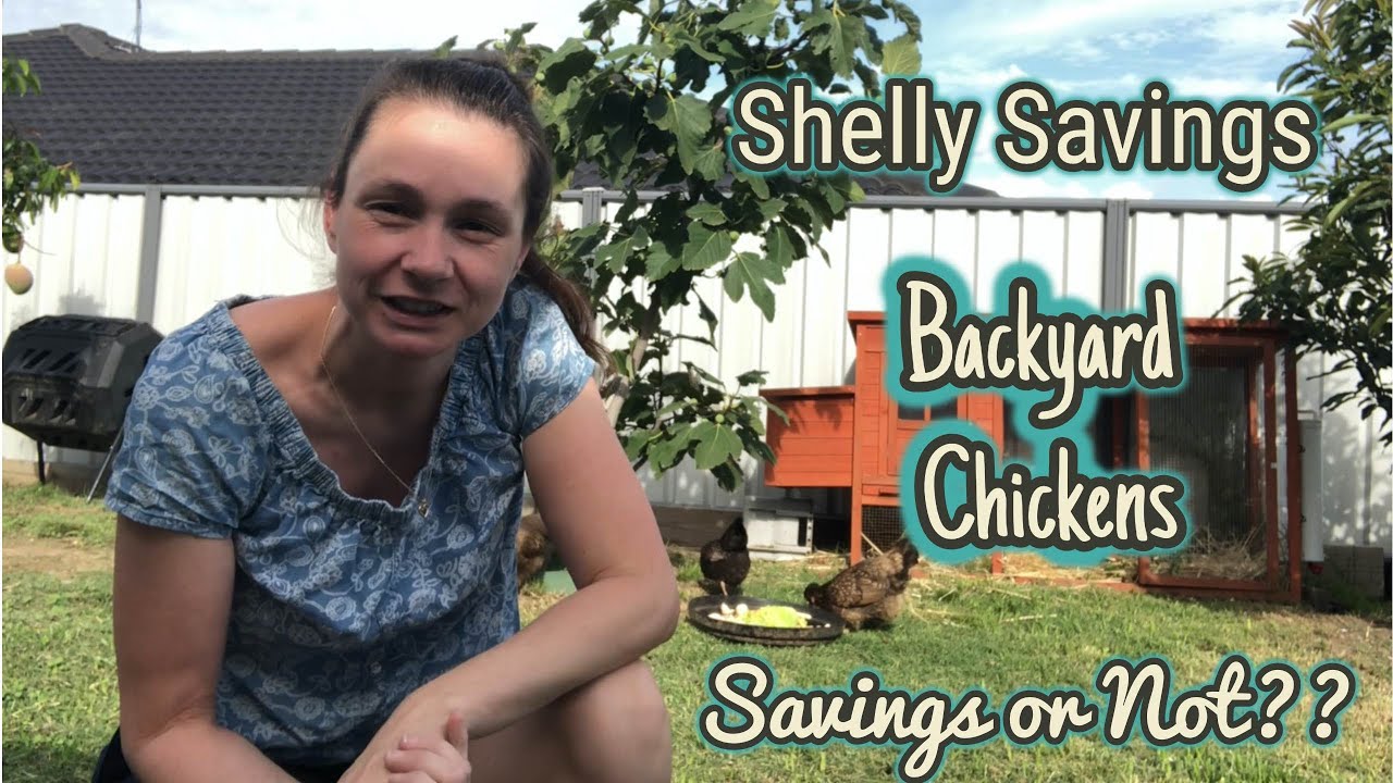 Backyard Chickens - Savings or Not??
