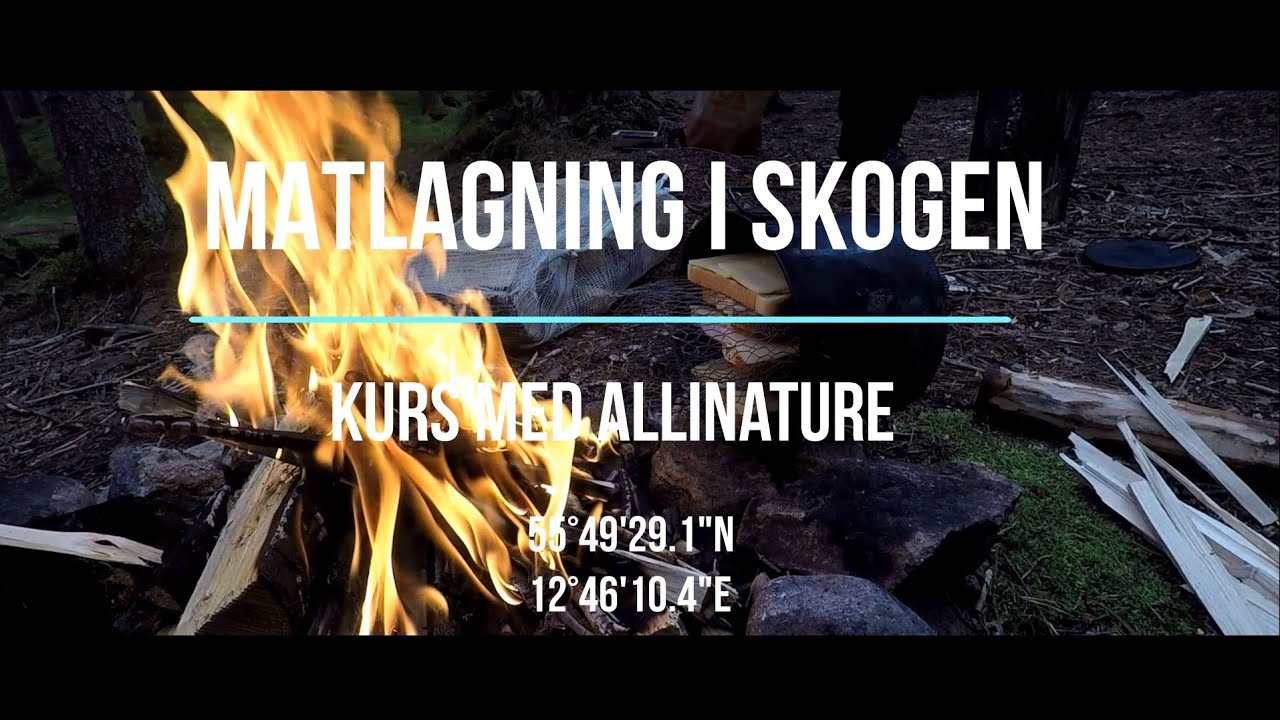 Laga Mat Skogen ,med All In Nature -2019