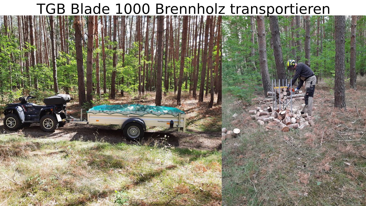 TGB Blade 1000 Brennholz sägen und transportieren